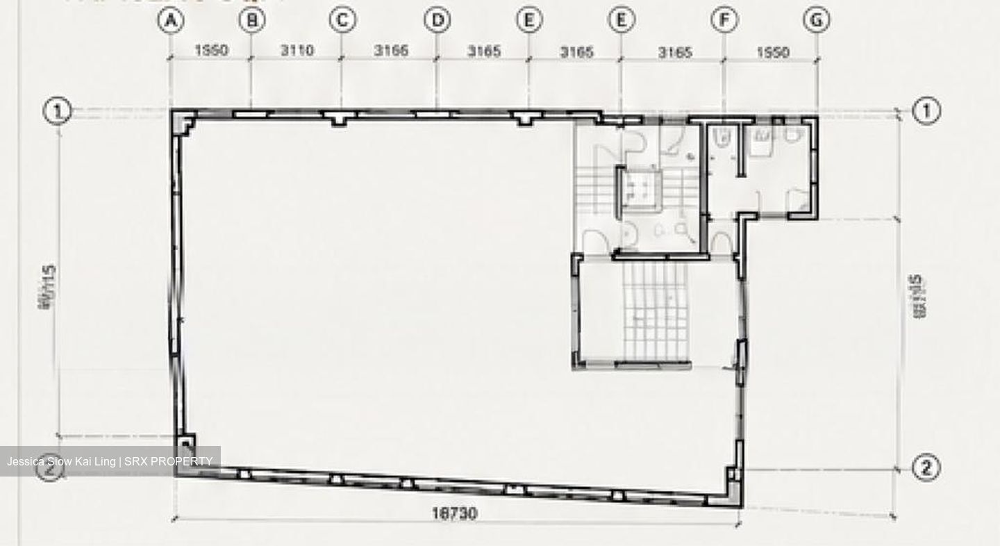 Tanjong Pagar Conservation Area (D2), Shop House #589668481
